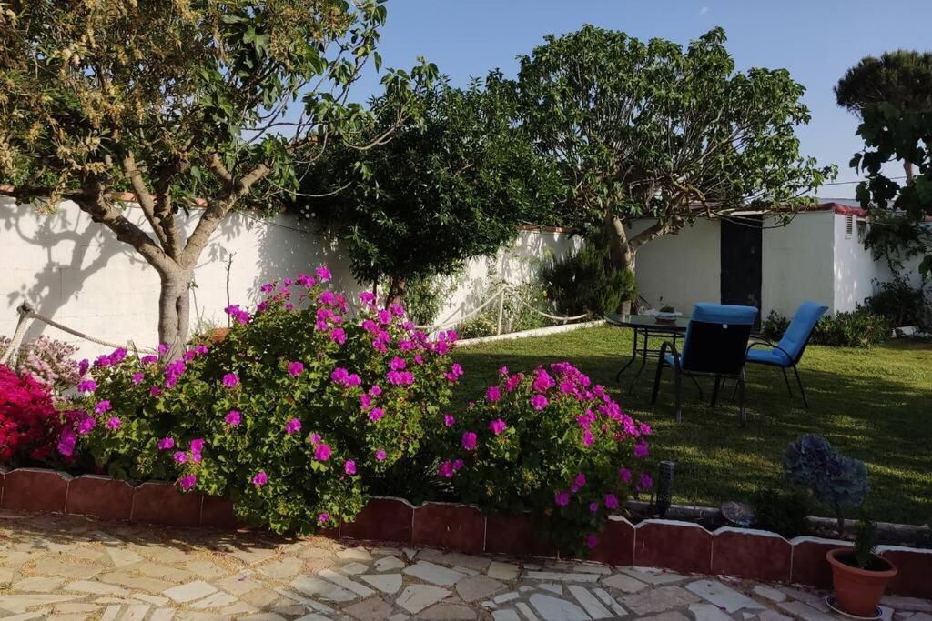 Casa Con Piscina Privada Y Jardin Villa Chiclana de la Frontera Ngoại thất bức ảnh