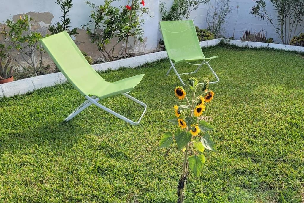 Casa Con Piscina Privada Y Jardin Villa Chiclana de la Frontera Ngoại thất bức ảnh